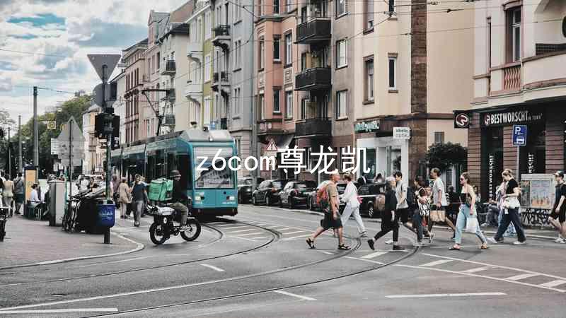 z6com尊龙凯